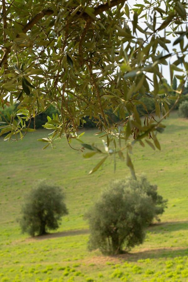 San Rocco Country House Pesaro Exterior foto