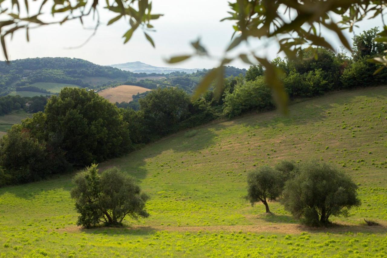 San Rocco Country House Pesaro Exterior foto